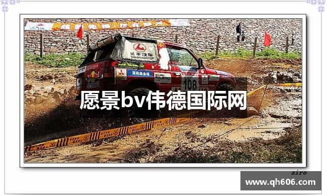 愿景bv伟德国际网